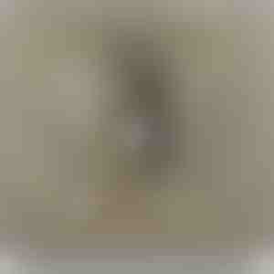 Od rodičov dcére | NAMI