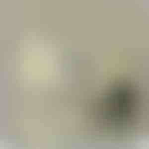 Od otca dcére | QUINN