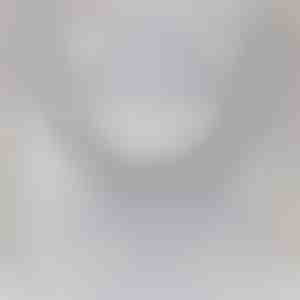 Od vnúčat starému otcovi | IAN