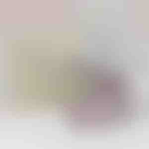 Od matky dcére | AIDEN_SUNFLOWER