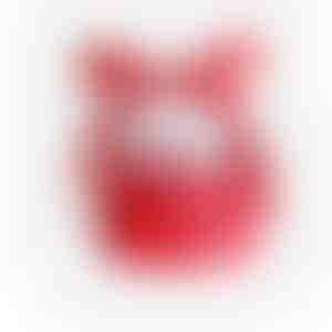 Vianočná krabička | SANTABOX