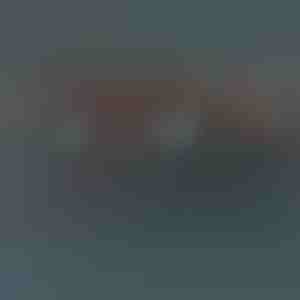 Náramok s jeleňom | DEERBRACELET