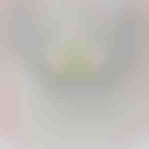 Od vnúčat pre starého otca | LANCE