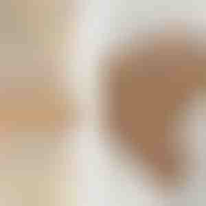 Súprava prsteňov | SPARKLET