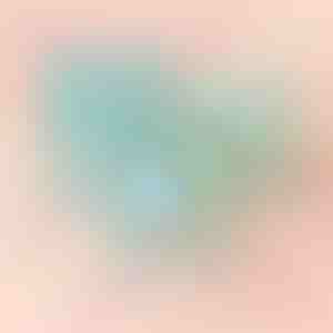 Modrá krabička s ružou | BLUEBOX