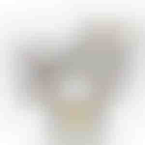 Biela krabička s ružou | WHITEBOX