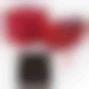 Od manžela manželke | ALAYA_CLOVERIE_APPLEROSE