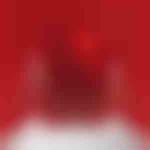 Šperkovnica s otočným medveďom | ROSBEAR