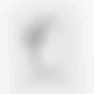 Sľubný prsteň | HEARTISO