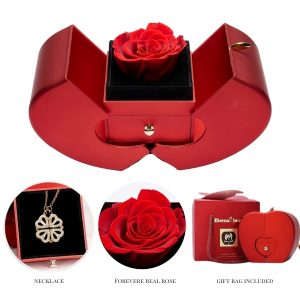 Náhrdelník Clover 2 v 1 a darčeková krabička | CLOVERIE_APPLEROSE