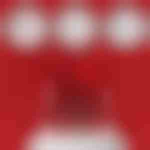 Šperkovnica so sľubným prsteňom a rotujúcim medveďom | HEARTISO_ROSBEAR