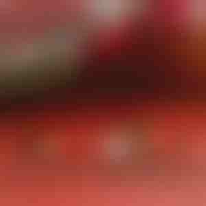 Náramok s jeleňom | DEERBRACELET